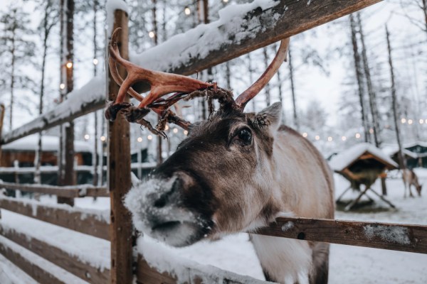 Village du Père Noël, Rovaniemi | Finlande