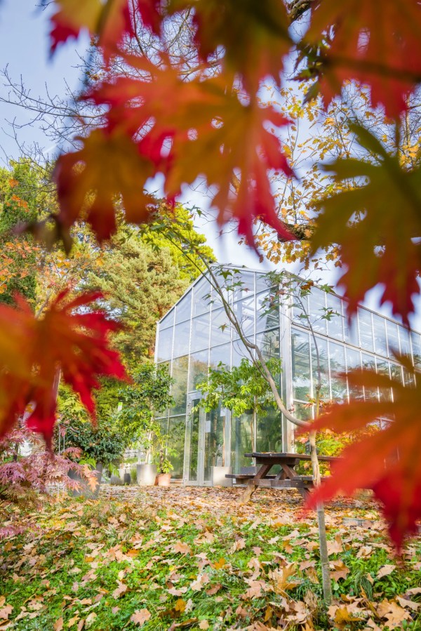 Jardin botanique, Lausanne | Suisse