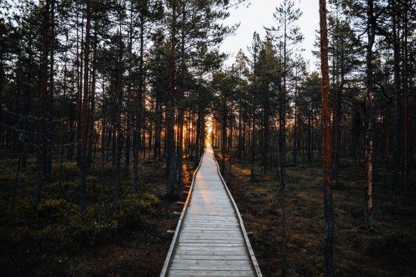 Tourbière de Viru | Estonie