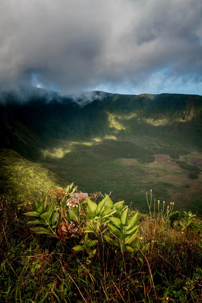 Caldeira do Faial, Faial - Açores | Portugal