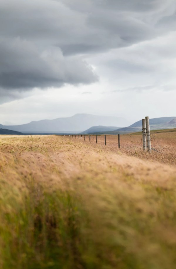 Snæfellsnes | Islande