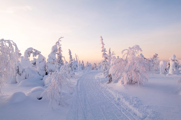 Parc national de Syöte | Finlande